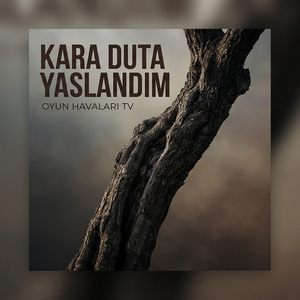 Kara Duta Yaslandım