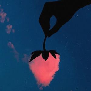 我说塑料的花也会过期（Prod.MEGA）