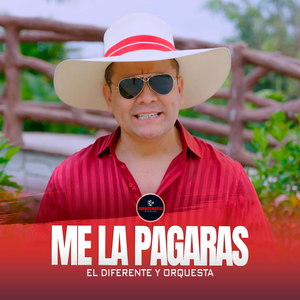 Me La Pagaras