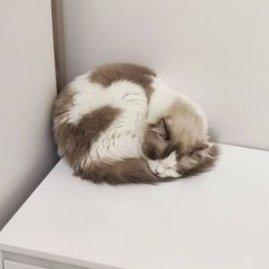 9.23 月满西楼