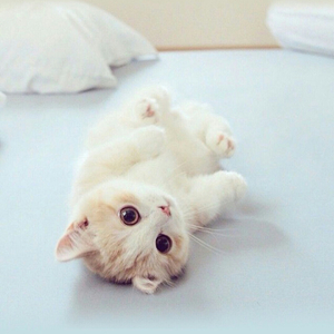 我喜欢上你时的内心活动（Cover 陈绮贞）