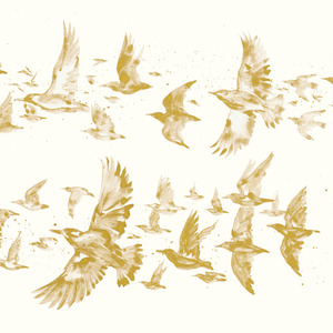 Flight