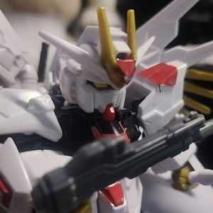 一天不知道在干什么