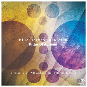 Pillar of Autumn (AKI Amano Remix)