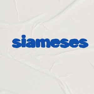Siameses