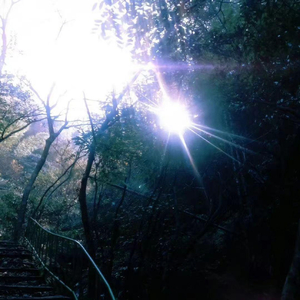 雪落的声音 是我想你的证明