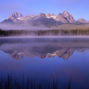 不要忽略一个爱你的人的心