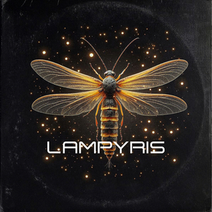 Lampyris
