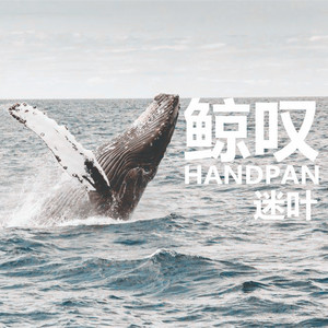 鲸叹（HANDPAN LIVE）