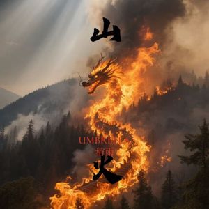【NOT FREE】“山火”Pop Emotional Rap Beat