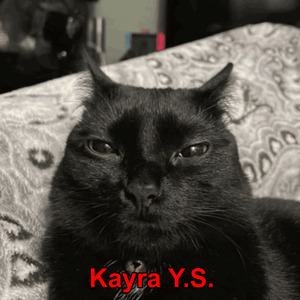 K.Y.S.