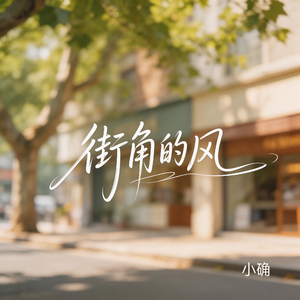 街角的风（抖音飙升版）