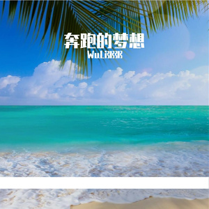 奔跑的星空