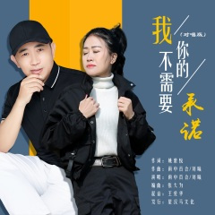 我不需要你的承诺 (缺女声)