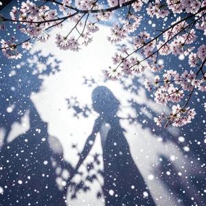 君だけが知らない時間