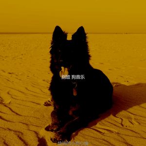 一尘不染孤独的狗印象数