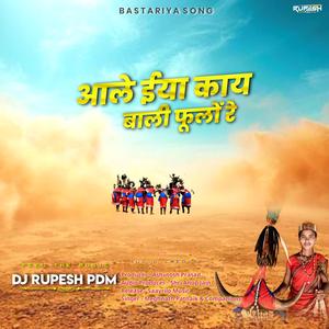 Aale Iya Kay Bali Phoolo Re (Bastariya Song)