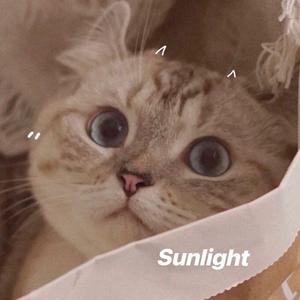 Sunlight