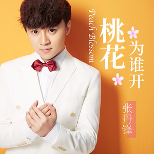 妈妈的舞步 (DJ版)