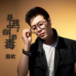 是我中了你的毒 (DJ默涵版)