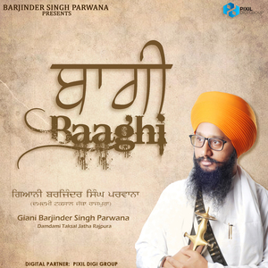 Baaghi
