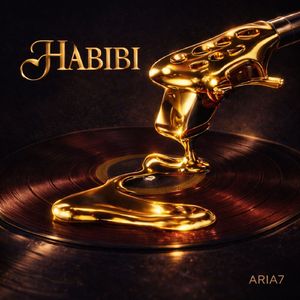 HABİBİ