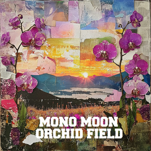 Orchid Field