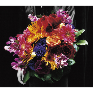 さよなら最终兵器