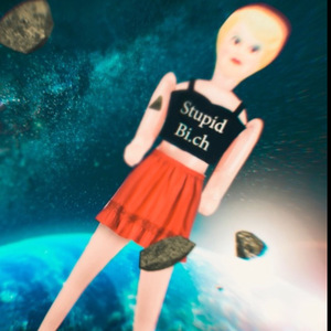 Stupid Bitch