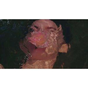 @.DANBADAJIE& - Nicola Fasano x Alex Guesta x（翻自 Fatman Sco RBM）