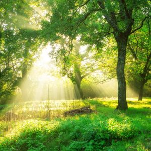 如果能回到过去就好了