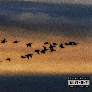 大雁（Prod YUSENISHERE）