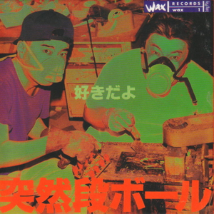 统计の普遍性 (パーセンテージ)