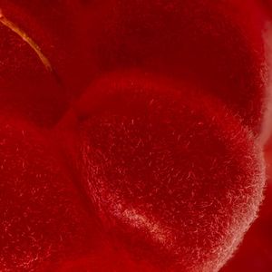 唯利是图的社会逼疯了我这个老实巴交的农民