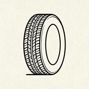 备胎 (泱泱 Remix)