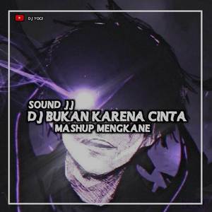 DJ BUKAN KARENA CINTA X MASHUP