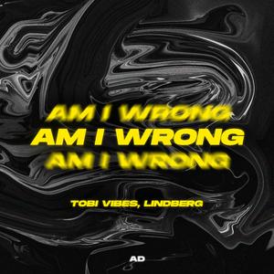 Am I Wrong (Techno Mix)