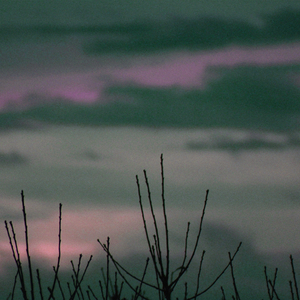 That's Not How It Goes