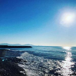 校徽旋转（李负眠 remix）