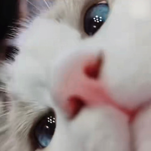 爱就一个字（吉他）