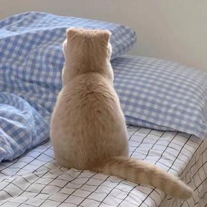 这一路走来（cover杨宗纬）