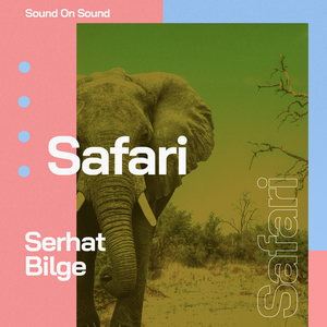 Safari (Original Mix)