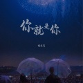 你就是你 (伴奏)