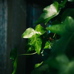 Sittin Back Bass Boosted