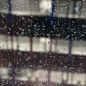 听雨 MMM 12.1