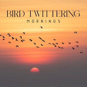 Calming Birds Sounds, Pt. 01