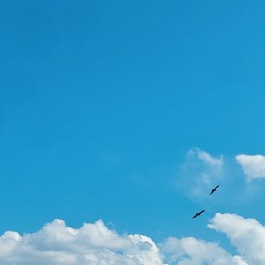 无法抵达的故乡