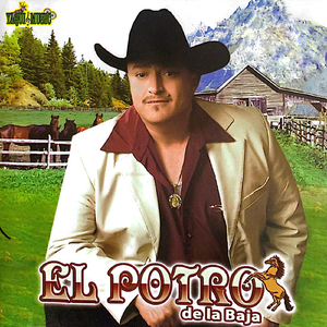 Ni Por Mil Puñaladas De Oro