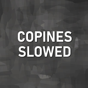 Copines Slowed (Remix)