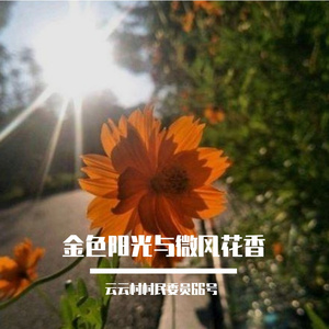 金色阳光与微风花香